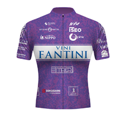 Team jersey VINI FANTINI - BEPINK